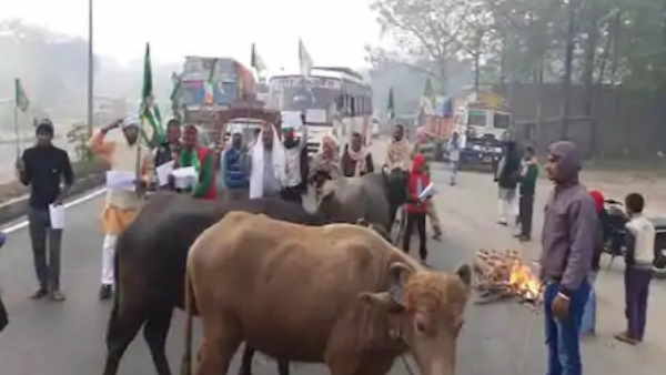 rjd gave support to trade bharat band in bihar rjd gave support to trade bharat band in bihar