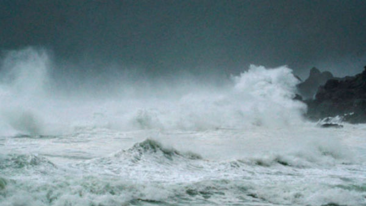 Cyclone Nivar: आधी रात के बाद लैंडफॉल की संभावना, IMD ने दी जानकारी Cyclone Nivar: आधी रात के बाद लैंडफॉल की संभावना, IMD ने दी जानकारी