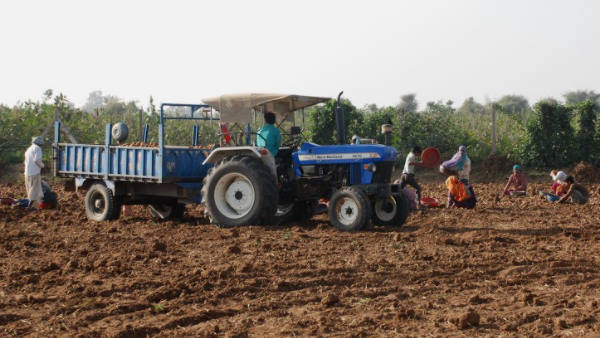 बनासकांठा में 300 कोल्ड स्टोरेज