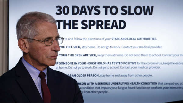 dr anthony fauci.jpg dr anthony fauci.jpg