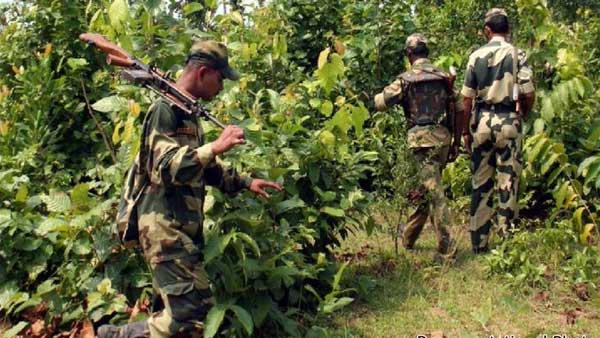 छत्तीसगढ़: सुकमा में नक्सलियों ने किया IED विस्फोट, CRPF के 5 जवान घायल छत्तीसगढ़: सुकमा में नक्सलियों ने किया IED विस्फोट, CRPF के 5 जवान घायल
