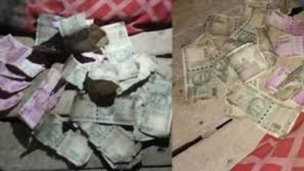 notes of 500 and 2000 were flying on the road people broke to loot notes of 500 and 2000 were flying on the road people broke to loot