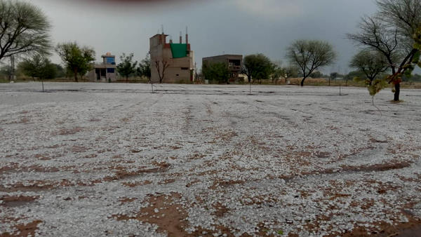 जयपुर में 11.6 मिलीमीटर