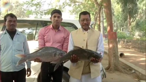 243 सीटों के आ रहे रिजल्ट