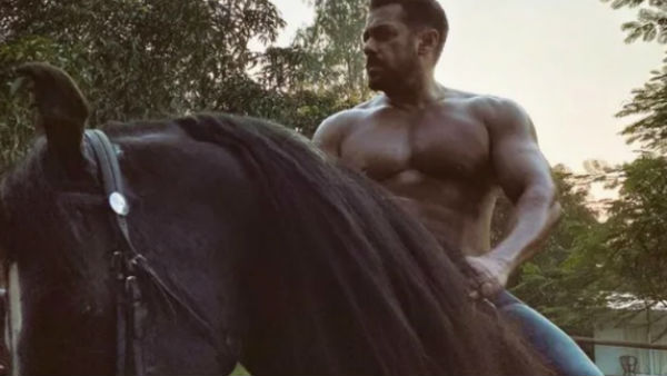 काले घोड़े की सवारी करते दिखे Shirtless सलमान , उड़ा मजाक काले घोड़े की सवारी करते दिखे Shirtless सलमान , उड़ा मजाक