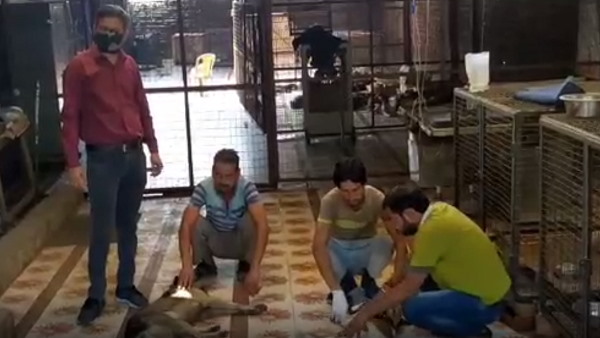 1 साल पहले ट्रेन की चपेट में आई थी