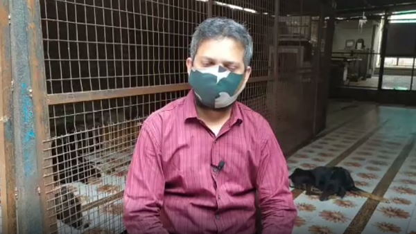 कृत्रिम पैर भी लगवाए गए, लेकिन नहीं चली