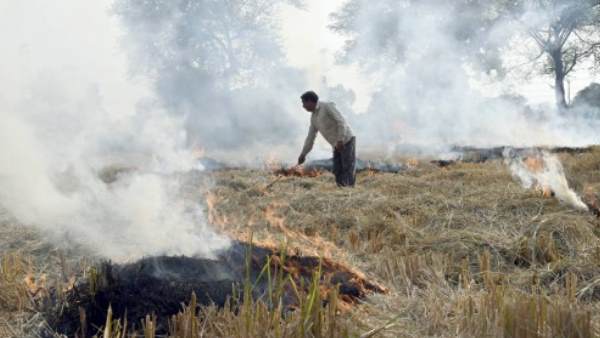 Stubble burning, Delhi air pollution, delhi, pollution, delhi pollution, delhi pollution news, pollution in delhi, Stubble burning to end, Punjab, Haryana, दिल्ली, प्रदूषण, पराली, वायु प्रदूषण, दिल्ली में वायु प्रदूषण Stubble burning, Delhi air pollution, delhi, pollution, delhi pollution, delhi pollution news, pollution in delhi, Stubble burning to end, Punjab, Haryana, दिल्ली, प्रदूषण, पराली, वायु प्रदूषण, दिल्ली में वायु प्रदूषण