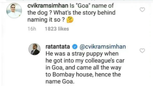 इस वजह से कुत्ते का नाम गोवा
