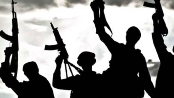 TERRORIST TERRORIST