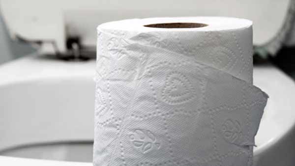 toilet paper toilet paper
