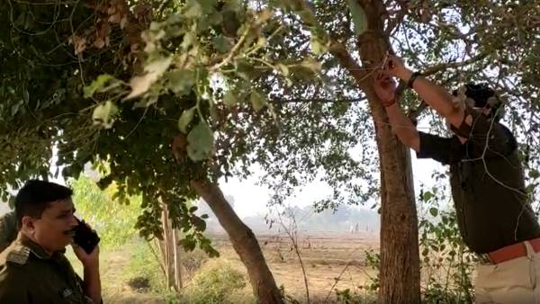 newly wed woman found hanging from tree with lover in budaun newly wed woman found hanging from tree with lover in budaun