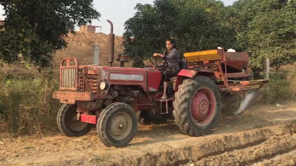 Farmers are in protest and family women are taking care of crops Farmers are in protest and family women are taking care of crops