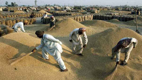 Kisan Kisan