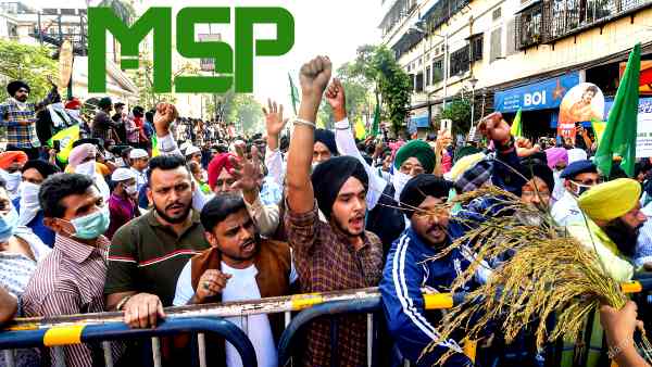 msp msp