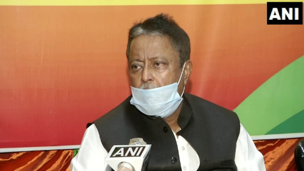 mukul mukul