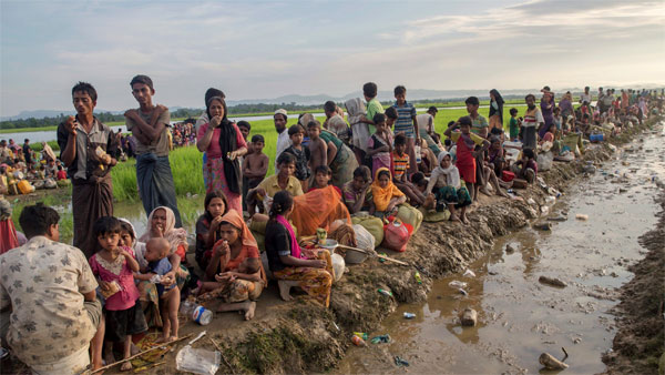 शरणार्थियों को भसन चार द्वीप पर भेजने के लिए सब्जबाग दिखाए गए
