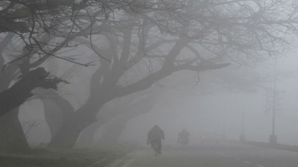 भयंकर ठंड की चपेट में उत्तर भारत