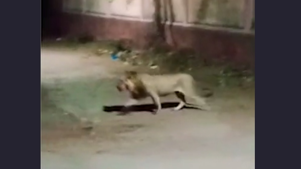 बड़े अगरिया गांव का मामला