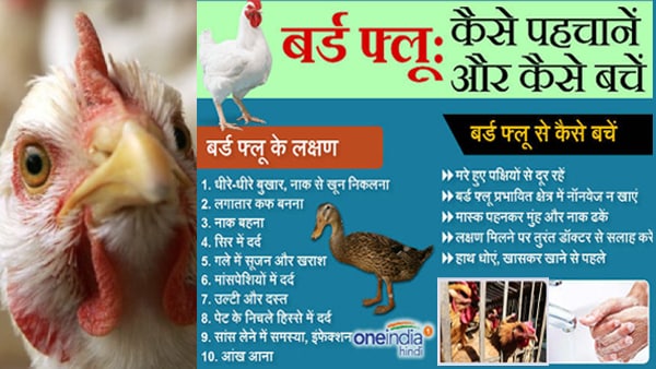 क्या है 'बर्ड फ्लू' ( Bird Flu)