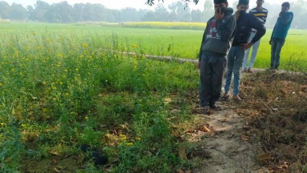 six crows found dead in amethi uttar pradesh six crows found dead in amethi uttar pradesh