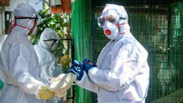 bird flu in Uttar Pradesh: Lucknow Ju also closed and High alert in Meerut Bird Century bird flu in Uttar Pradesh: Lucknow Ju also closed and High alert in Meerut Bird Century