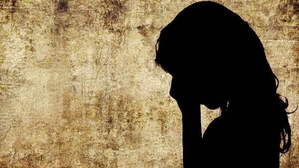 समलैंगिक रिश्ते में भी कोर्ट ने सुनाया था फैसला