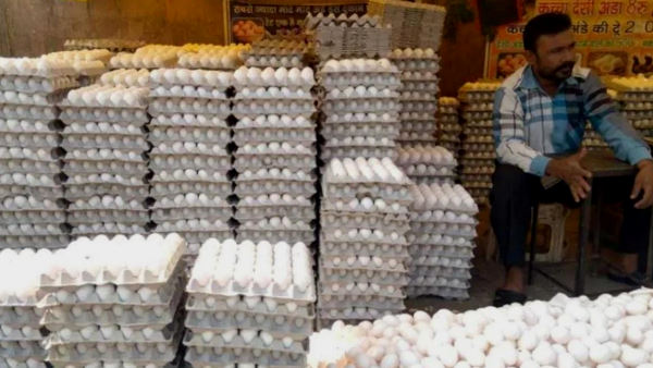 Indore Nagar Nigam imposes fine of 20 thousand on caretaker, selling eggs and meat in Sulabh toilets Indore Nagar Nigam imposes fine of 20 thousand on caretaker, selling eggs and meat in Sulabh toilets