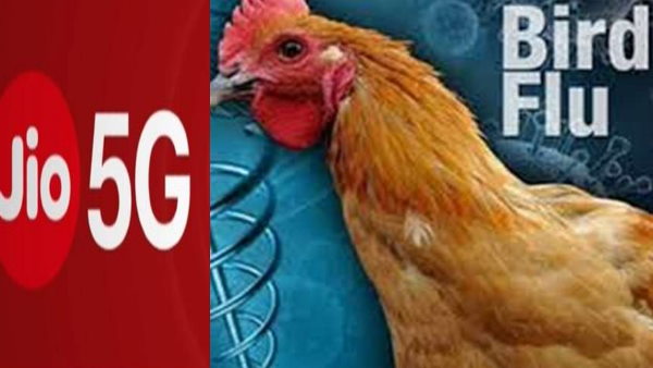 social media claims that birds are actually dying due to 5G tests conducted by Reliance Jio social media claims that birds are actually dying due to 5G tests conducted by Reliance Jio