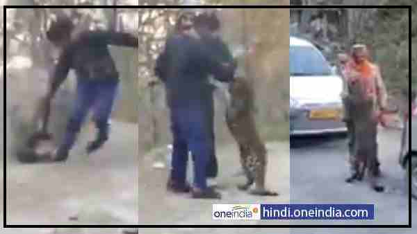 कुल्लू में है ग्रेट हिमालयन नेशनल पार्क