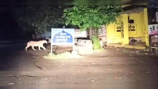 गांव-कस्बों में आने से लोग डरते हैं