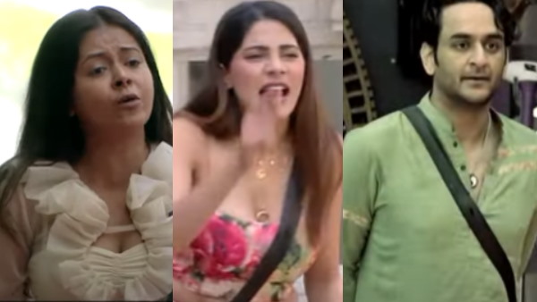 विकास ने देवोलीना से कहा- किस्सी दे
