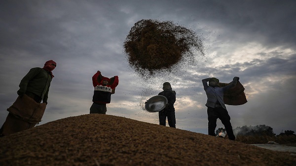 Farming Farming