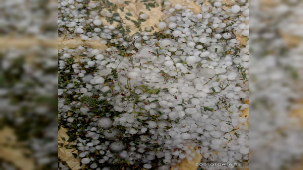 इन गांवों में बारिश व ओले