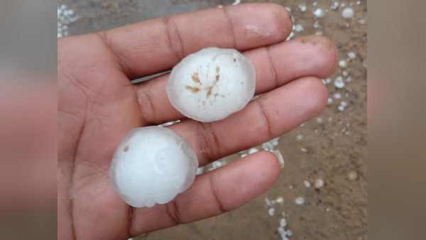 क्या फायदा होगा रबी की फसलों को?