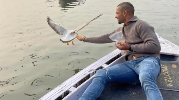 varanasi administration may take action against shikhar dhawan over violation of bird flu guidelines varanasi administration may take action against shikhar dhawan over violation of bird flu guidelines