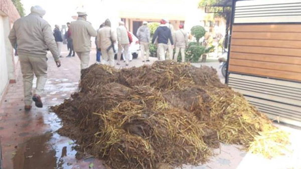 farmers protest punjab dung dumping HC asks police to take steps to protect life and property of BJP leader farmers protest punjab dung dumping HC asks police to take steps to protect life and property of BJP leader