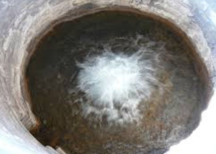 pregnant woman jumped into the well, when Harassed By her Husband pregnant woman jumped into the well, when Harassed By her Husband