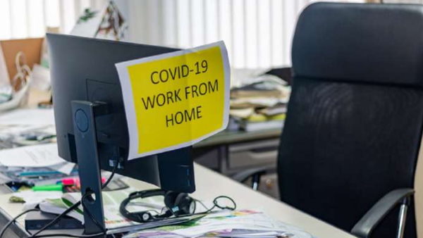 BJP MP wants IT companies stop work from home corona epidemic BJP MP wants IT companies stop work from home corona epidemic