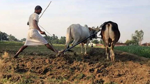 जो हकदार नहीं थे, उन्हें भी मिले पैसे- RTI डाटा
