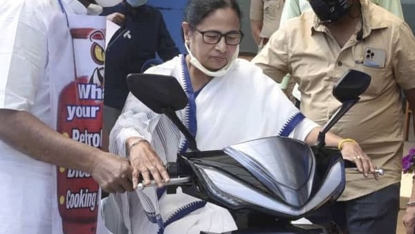 mamata mamata