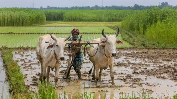 योगी सरकार के बजट में युवाओं को क्या मिला ?