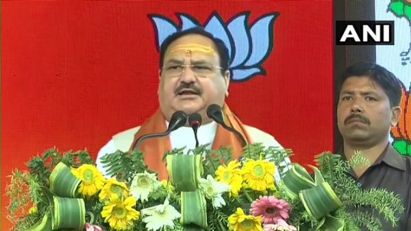 BJP President JP Nadda says Its only BJP wherein party has become a family BJP President JP Nadda says Its only BJP wherein party has become a family