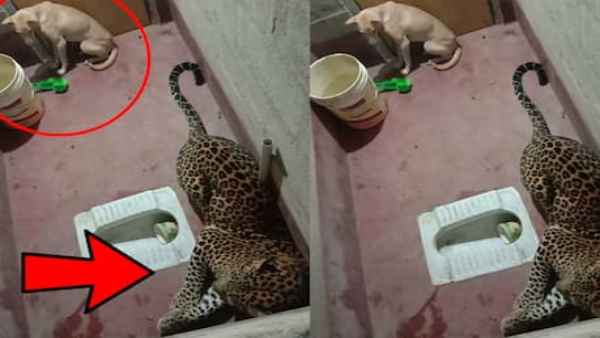 महिला ने घर वालों को बचाने के लिए किया ये काम