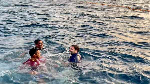 भाजपा ने हाथों-हाथ लिया है राहुल के बयान वाला मुद्दा
