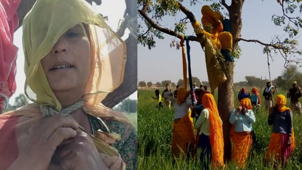 हाईवे के रेस्ट एरिया में खेती