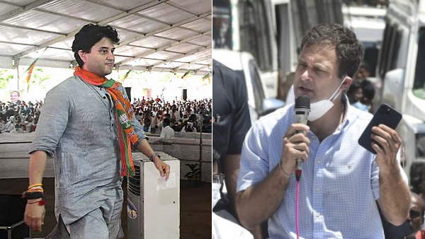 rahul gandhi on jyotiraditya scindia, congress youth wing meeting, rahul gandhi, jyotiraditya scindia, congress, delhi, madhya pradesh, राहुल गांधी ज्योतिरादित्य सिंधिया को, राहुल गांधी, ज्योतिरादित्य सिंधिया, कांग्रेस, bjp rahul gandhi on jyotiraditya scindia, congress youth wing meeting, rahul gandhi, jyotiraditya scindia, congress, delhi, madhya pradesh, राहुल गांधी ज्योतिरादित्य सिंधिया को, राहुल गांधी, ज्योतिरादित्य सिंधिया, कांग्रेस, bjp