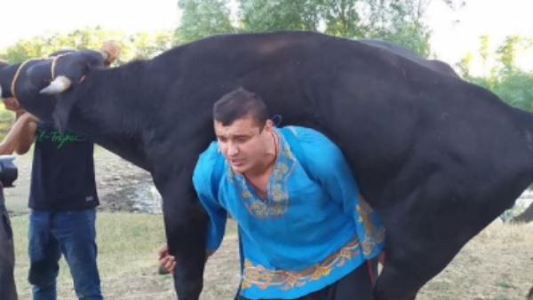 कंधे पर घोड़े और भैंसे को उठाया