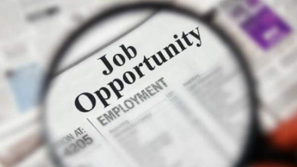 UPRVUNL Recruitment 2021, 196 junior engineer je post, uttar pradesh vidyut nigam limited, UPRVUNL, Recruitment, vacany junior engineer, je, uttar pradesh, उत्तर प्रदेश विद्युत निगम, उत्तर प्रदेश, नौकरी, जेई UPRVUNL Recruitment 2021, 196 junior engineer je post, uttar pradesh vidyut nigam limited, UPRVUNL, Recruitment, vacany junior engineer, je, uttar pradesh, उत्तर प्रदेश विद्युत निगम, उत्तर प्रदेश, नौकरी, जेई