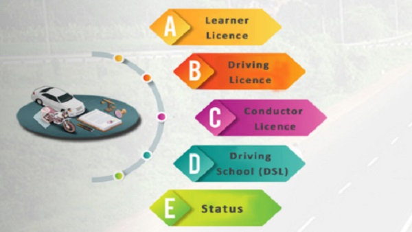 Driving Licence Driving Licence